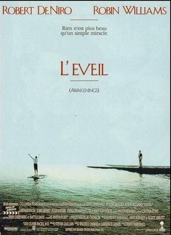 L'EVEIL